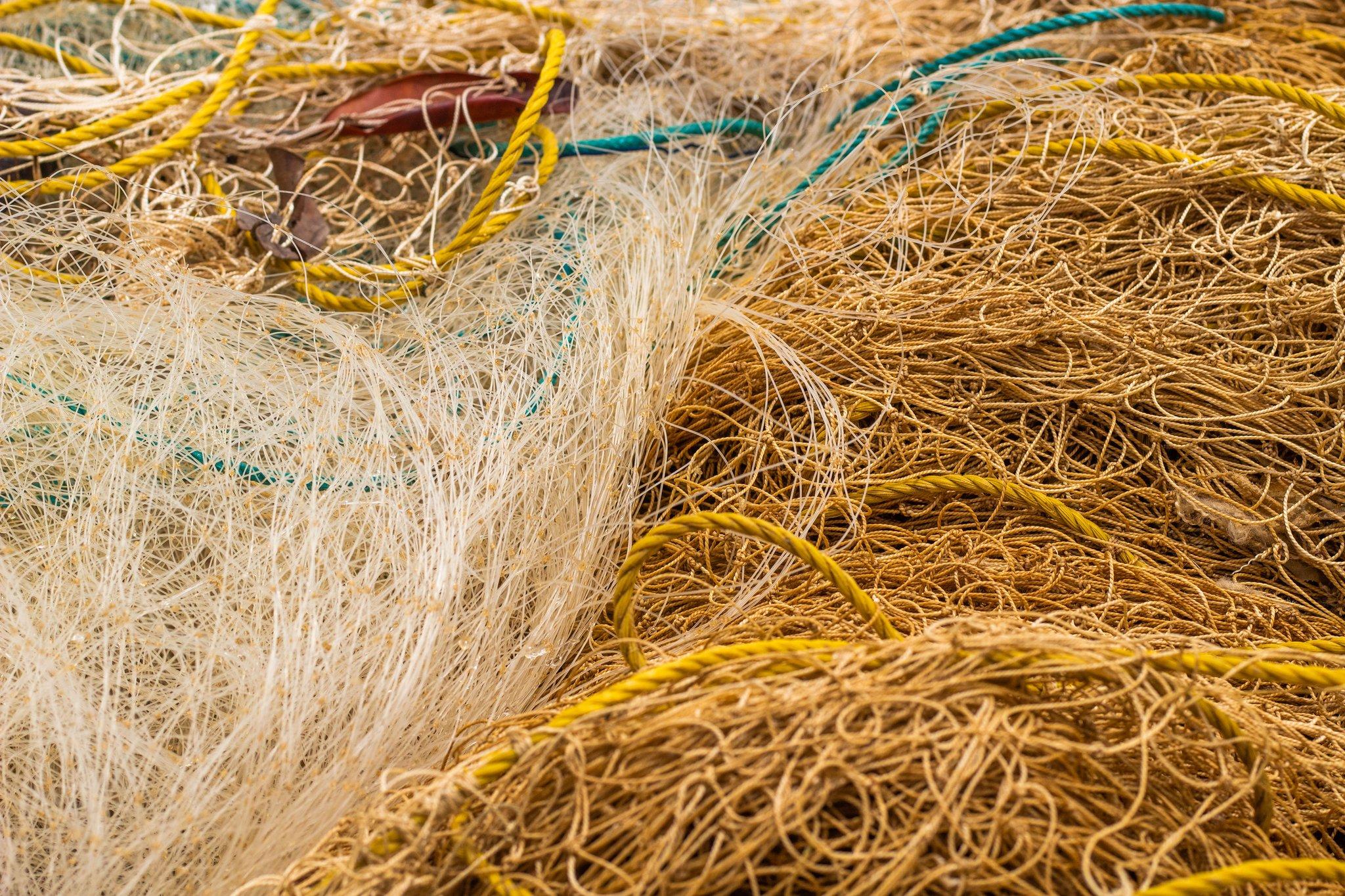 Nets, photo by Lianderson Santos