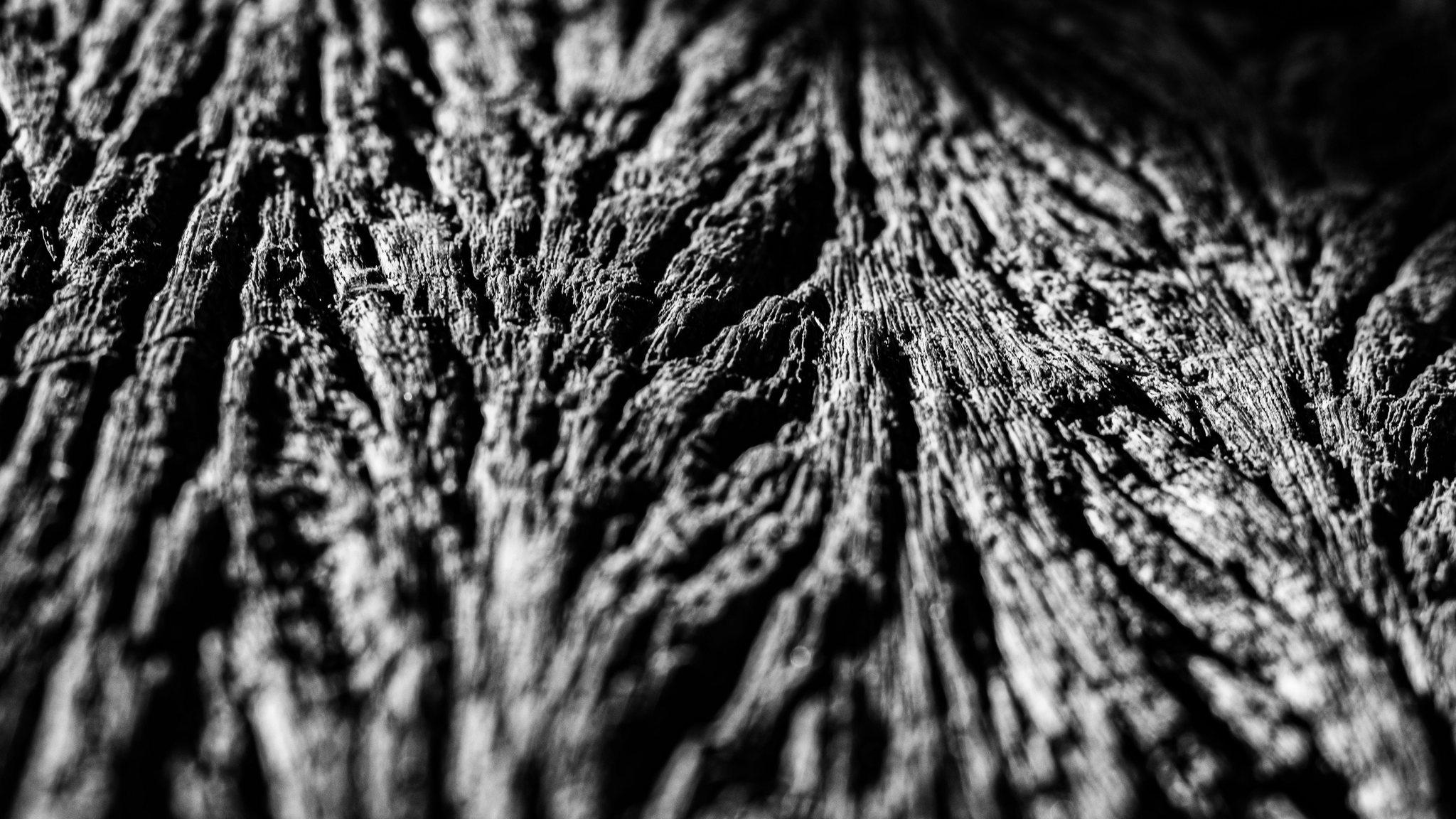 Photo by Wallison Andrey