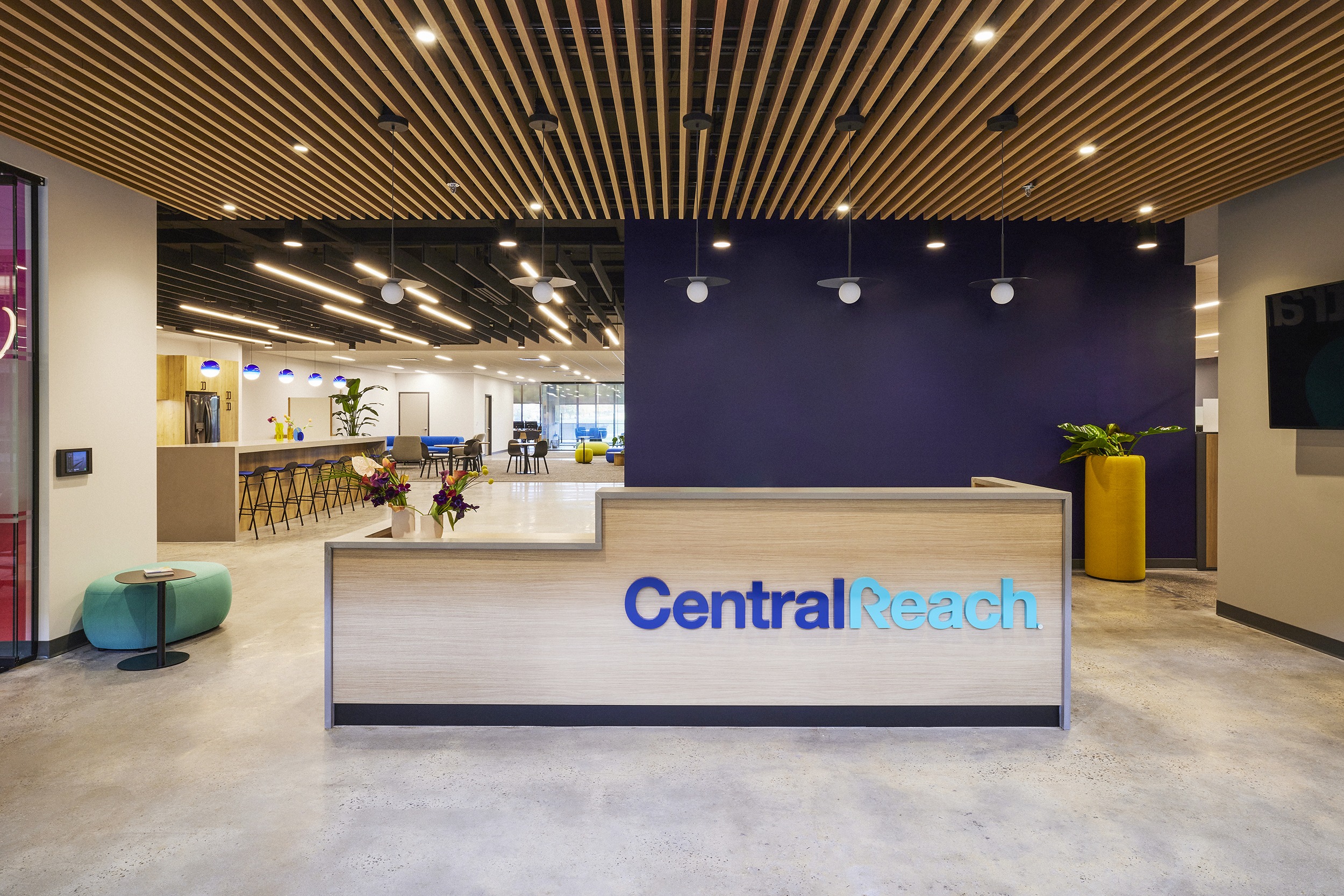 NPZ_Bell_22_0172_LOGO_02 (1)