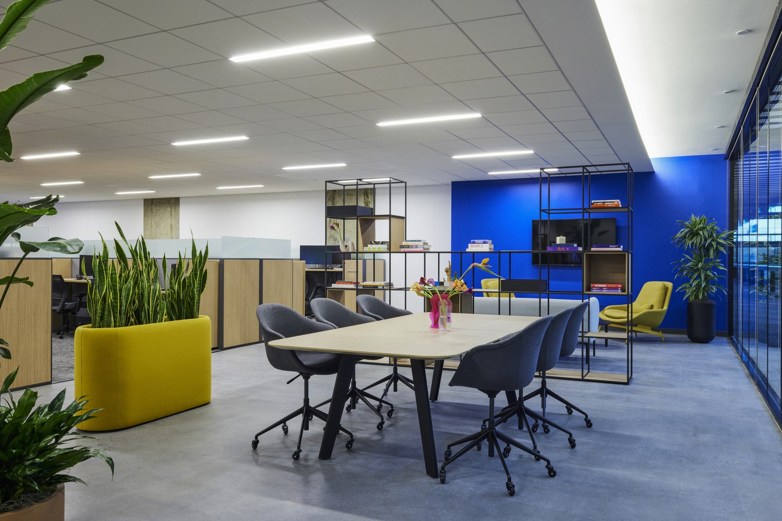 NPZ_Bell_22_0304 (1)