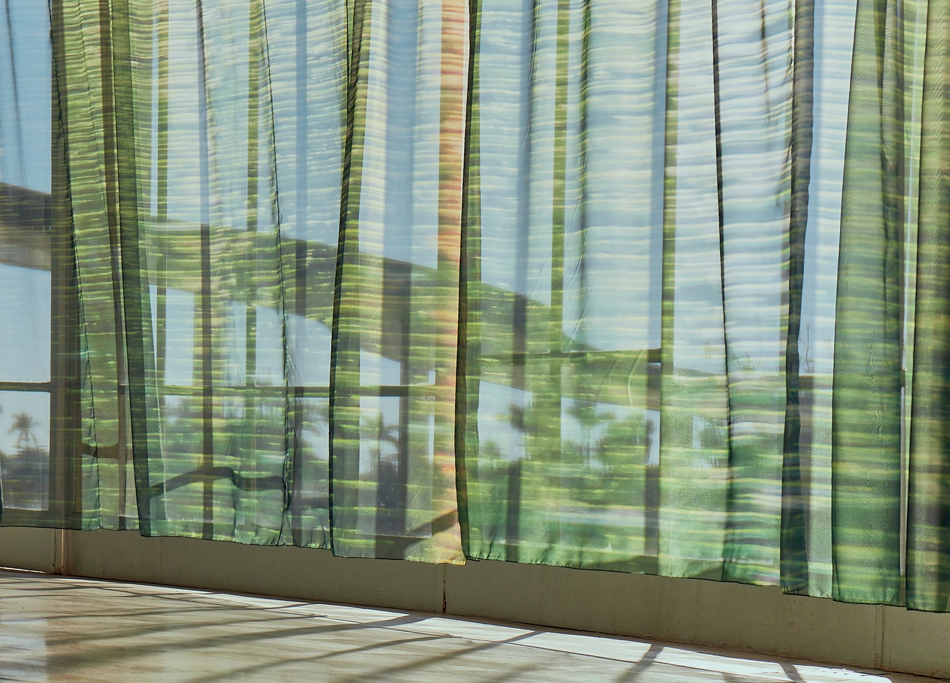 Photo by Mateus Lustosa (3)