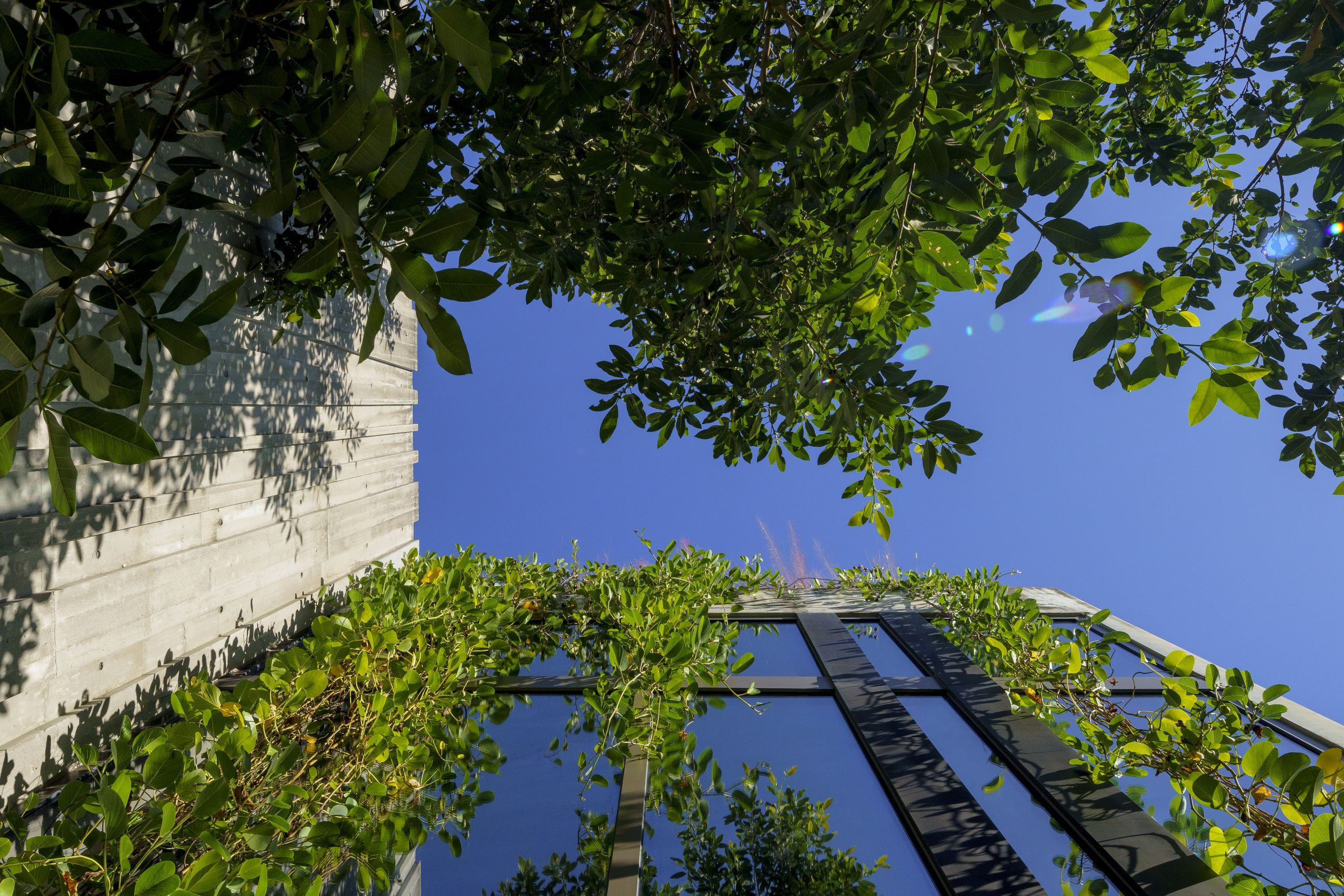 RENE_Prairie2-3754-Edit