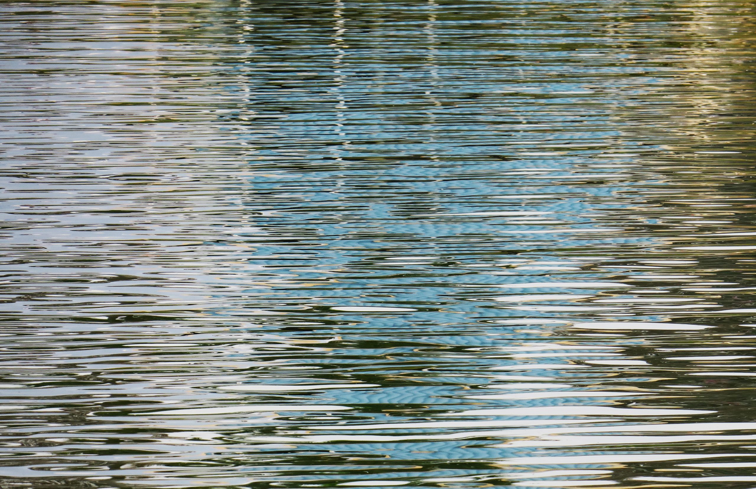 Saint Francis Assisi church-2 -© Paul Clemence