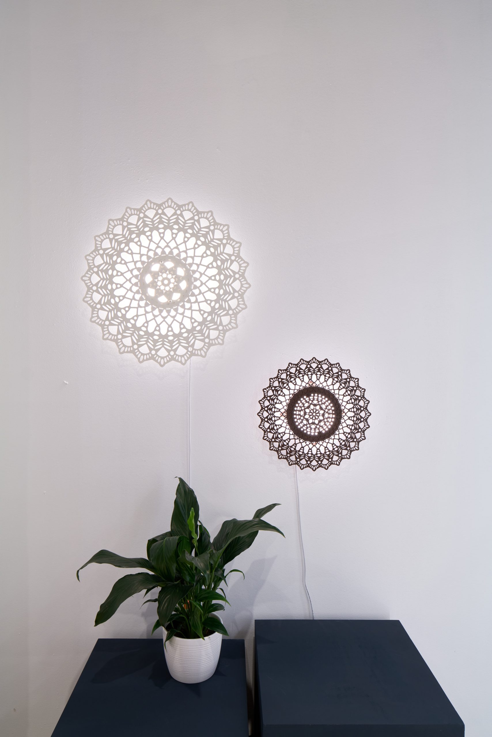 Puglia-NY-2023-00487318