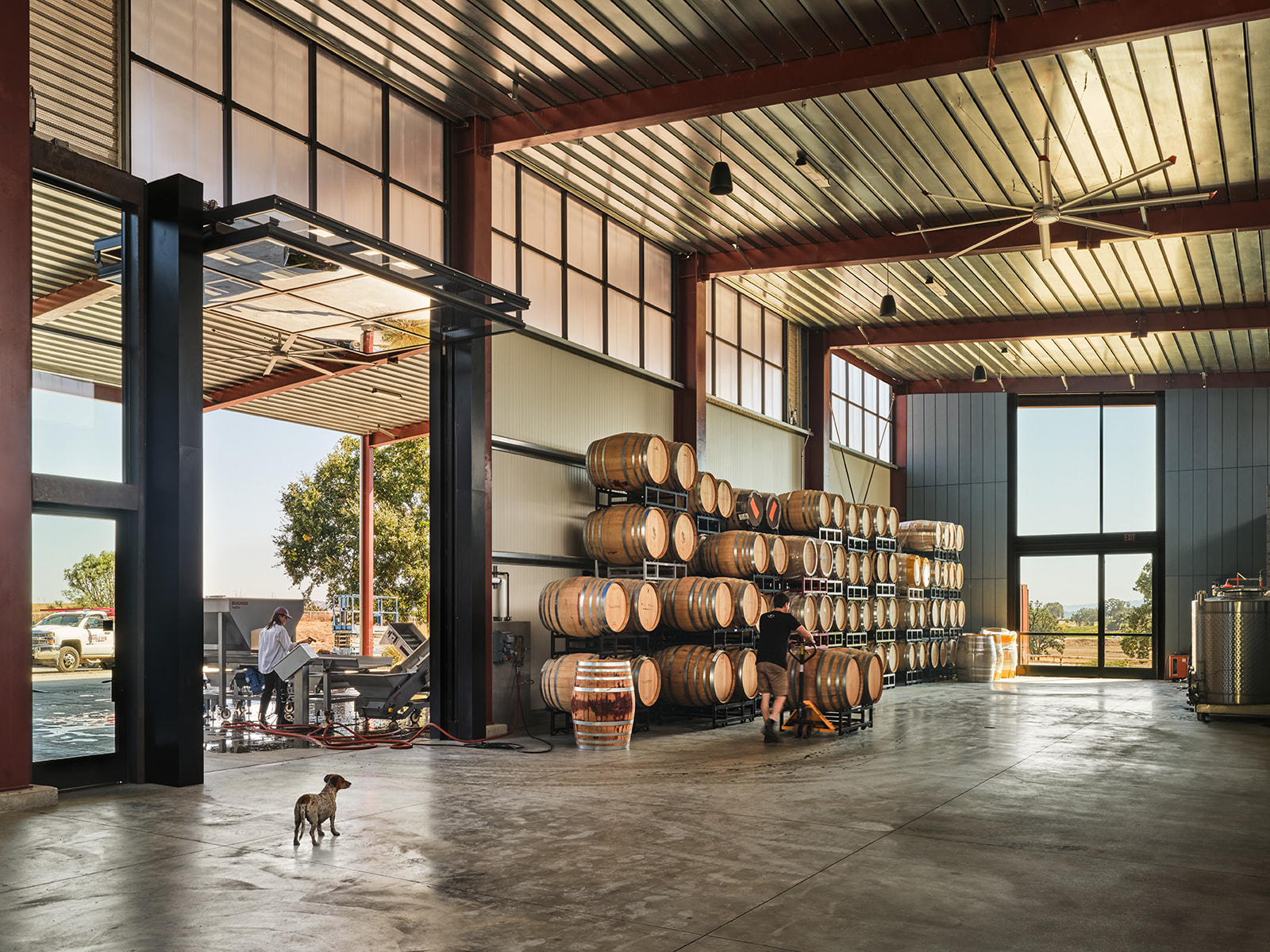 Fulldraw - Clayton Korte