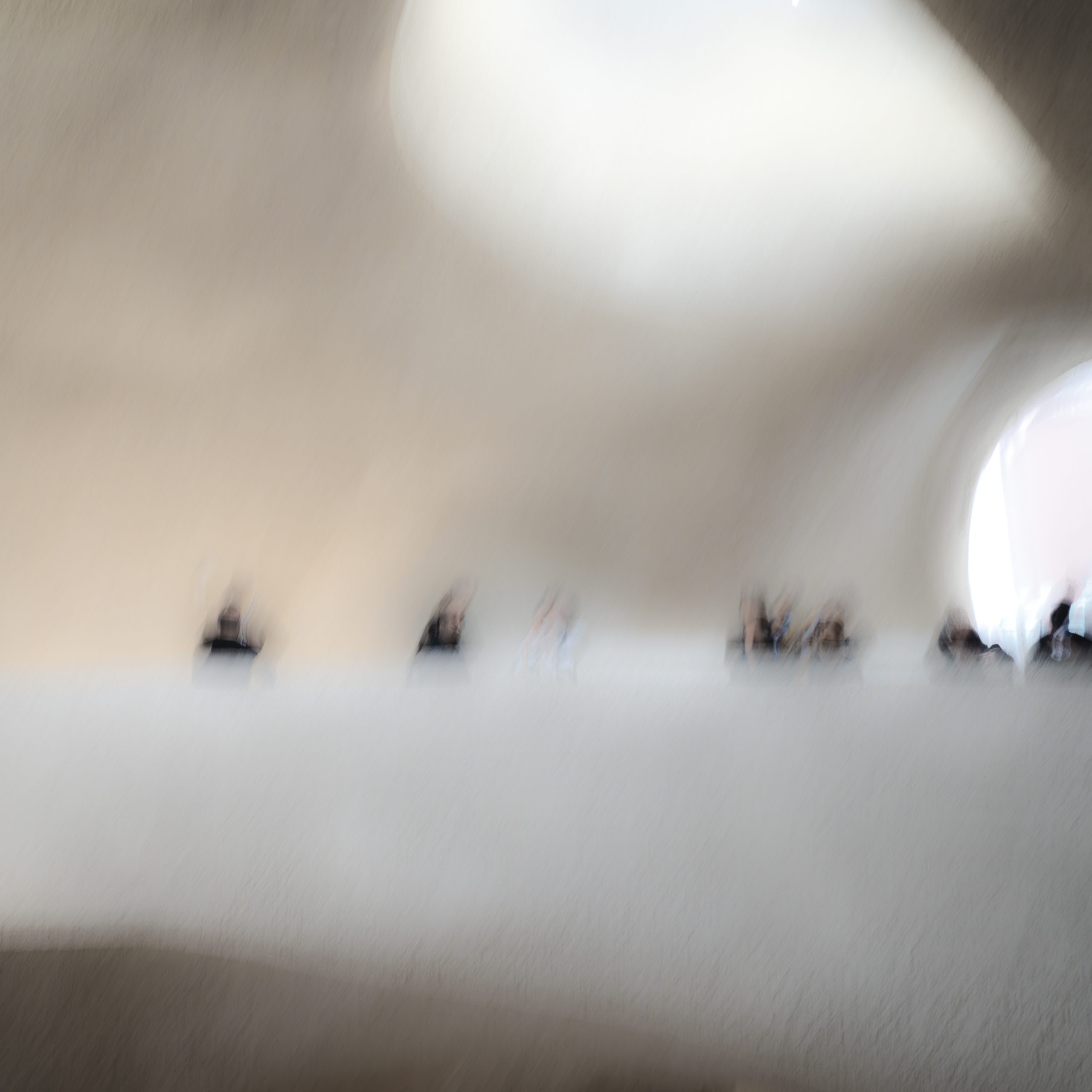 Museumgoers, American Museum of Natural History_16x16