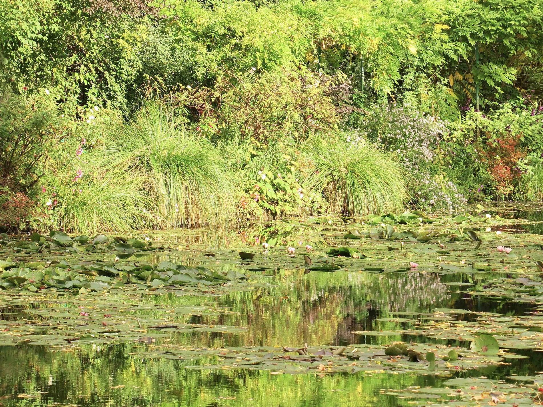 Paul Clemence&rsquo;s exhibition of 17 photos &ndash; in both black & white and color &ndash; at the Miami Beach Botanical Garden takes the viewer on a worldwide trek through famous gardens.