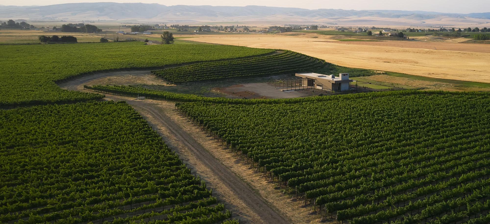 It was his boss’s boss, offering a career-changing choice: Move to Salem, Oregon, or take a severance package.