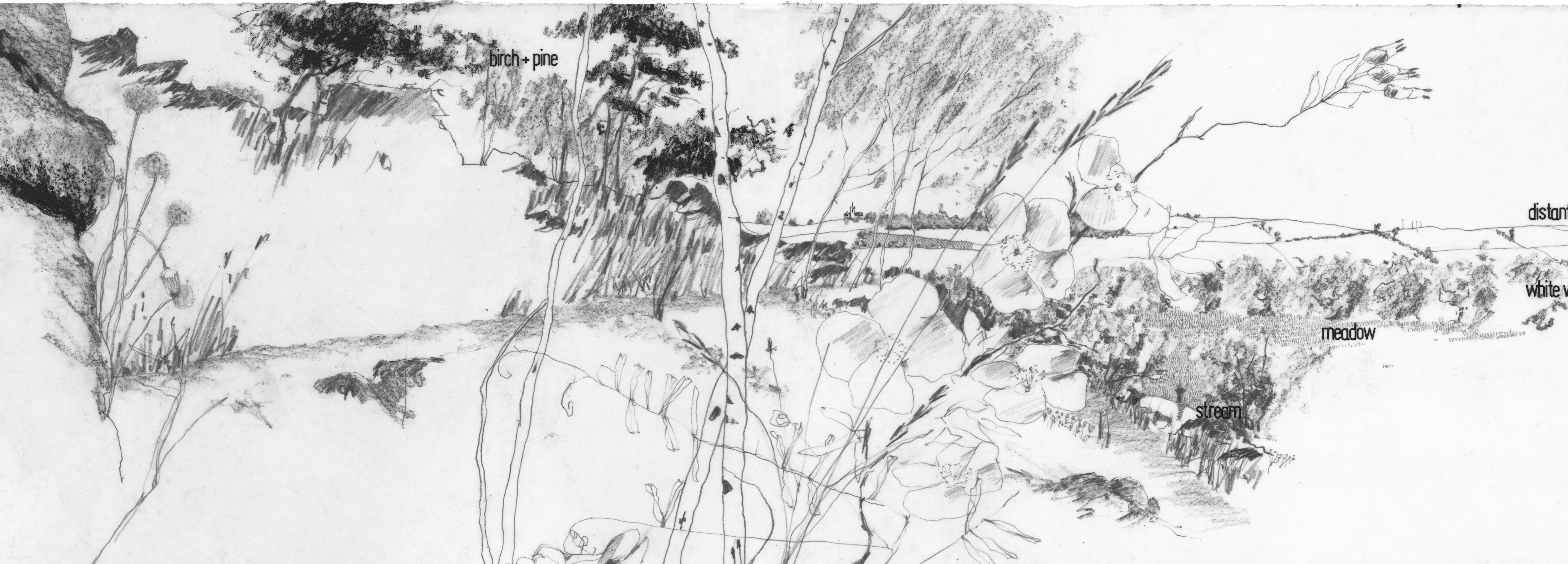 Edward Hutchison is now an author &ndash; of a book about drawing for landscape architects.