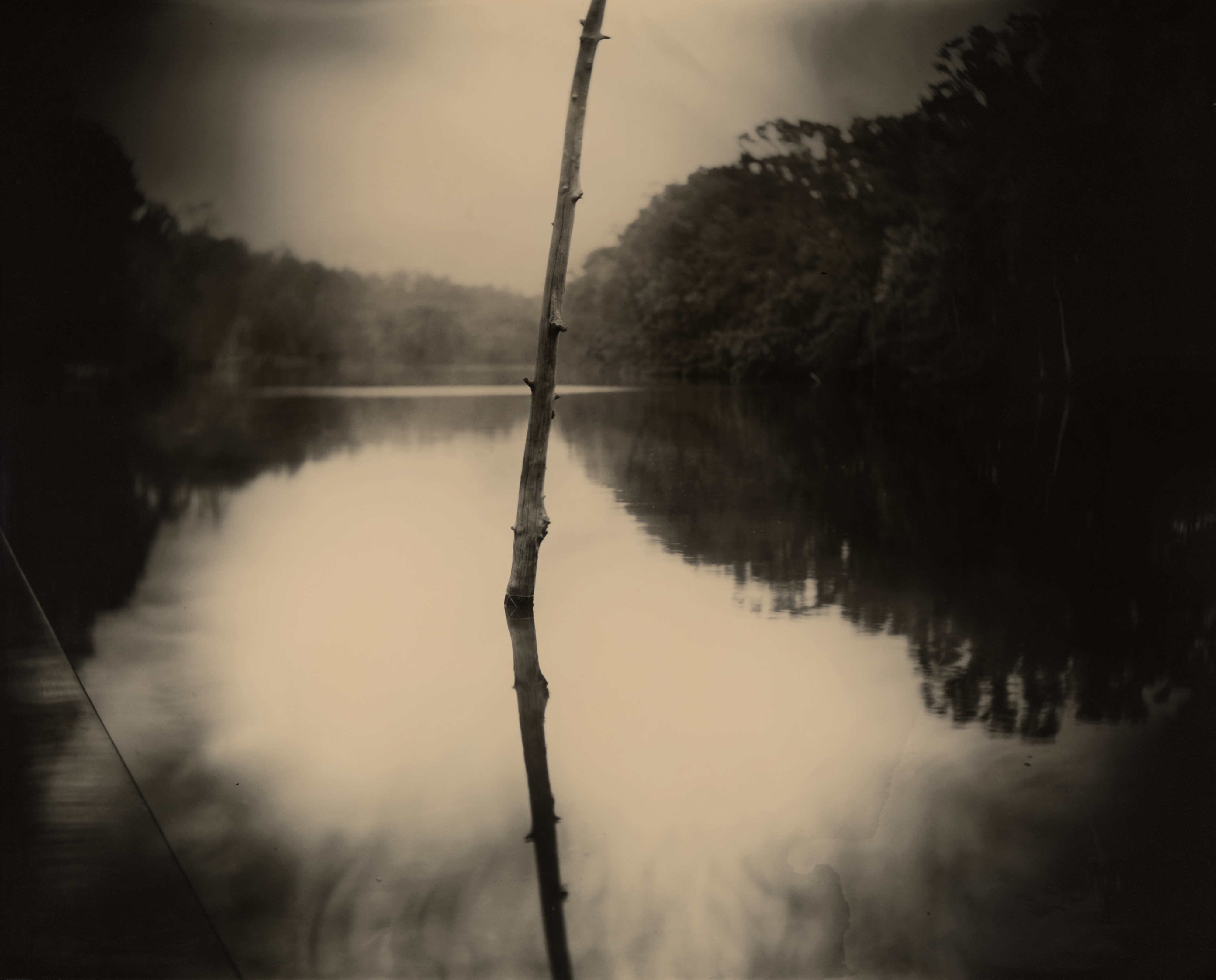 Now the National Gallery of Art and the Peabody Essex Museum have assembled an exhibition of 115 of her photographs for exploration by the public.