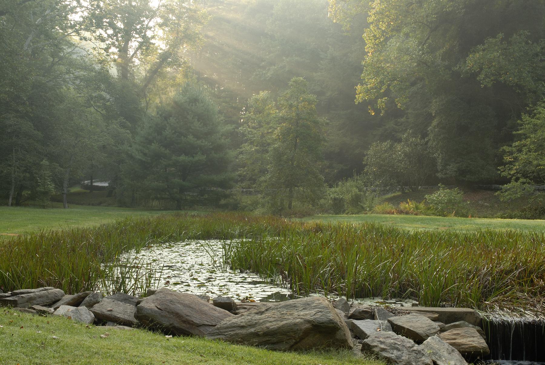 It was not in the best condition. He’d purchased about six hundred lots that varied in size from a half-acre to hundreds more.