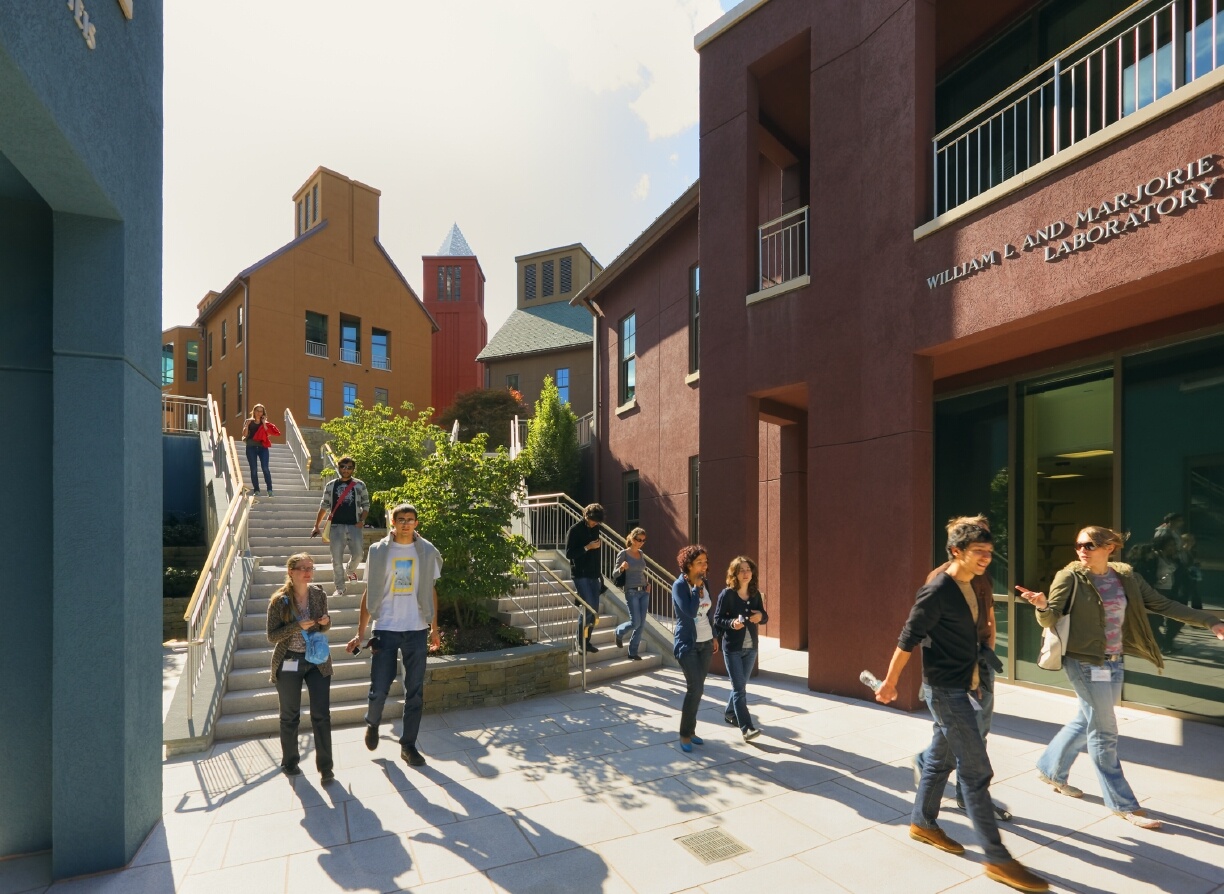Its six buildings, totalling 100,000 square feet on just under ten acres, are sunken into a hillside to create vistas of the river and open up outdoor courtyards.