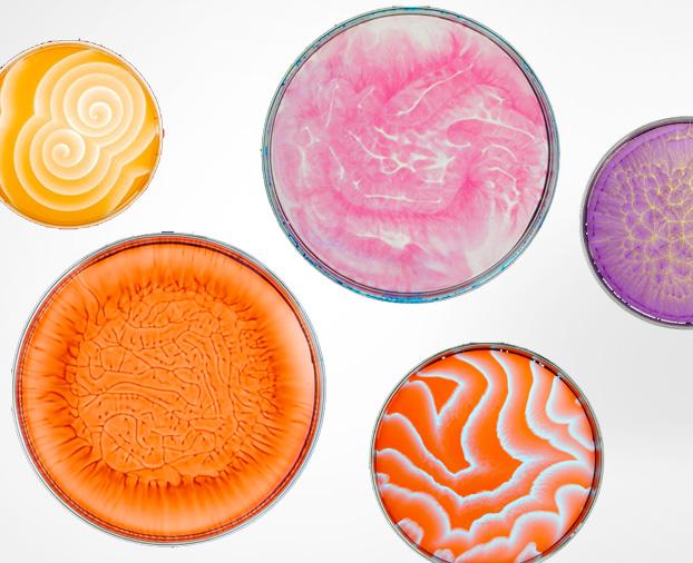 There’s superficiality connected to them, as though they’re simply applied to the surface of a building and don’t affect its function at all.